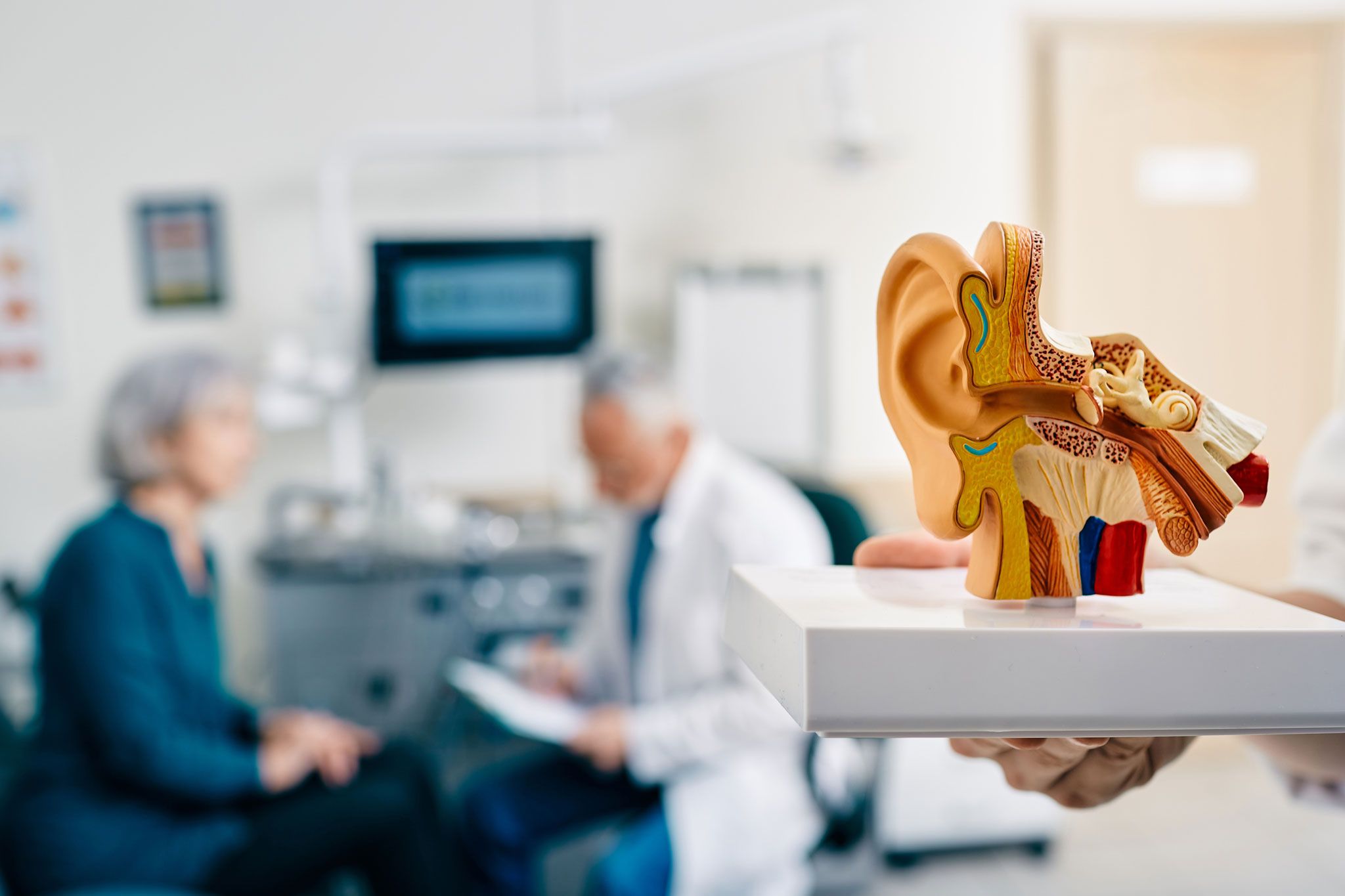 half cut ear canal model